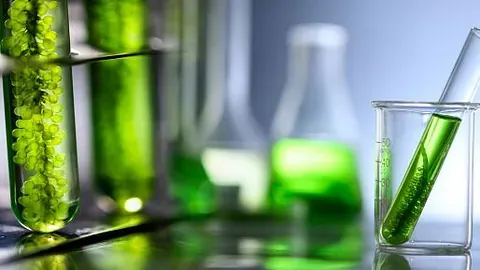 Grønne glasskolber og laboratorieutstyr med kjemikalier på en benk